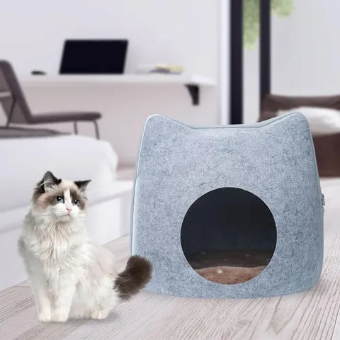 Refugio Felino Colores