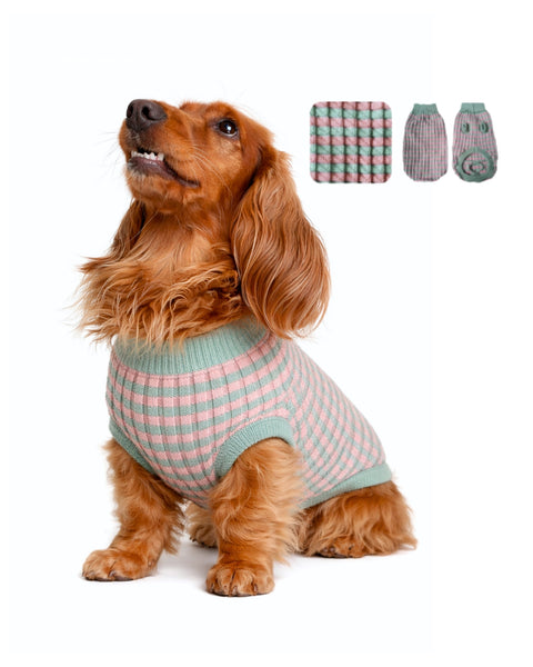 Suéter tejido para mascota verde con rosa