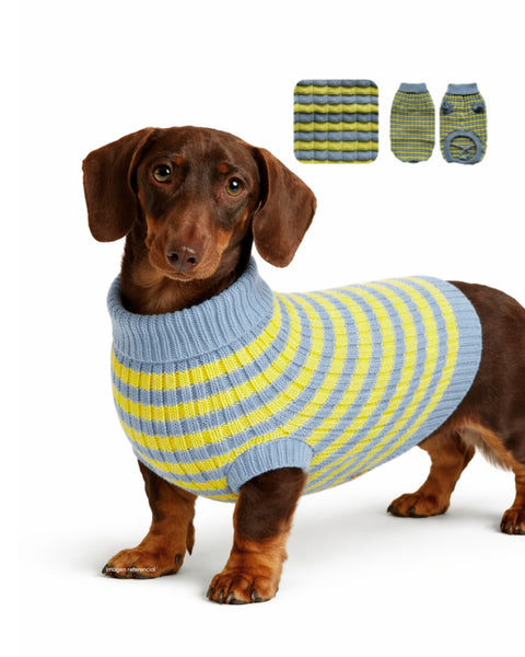 Suéter tejido para mascota azul con amarillo