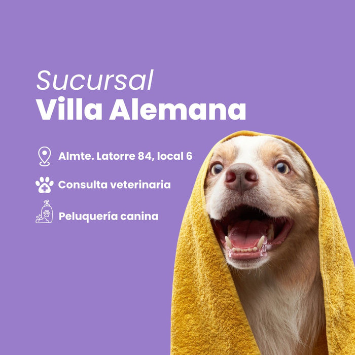 Villa Alemana