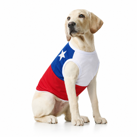 Capa para Perro con Diseño de Bandera Chilena