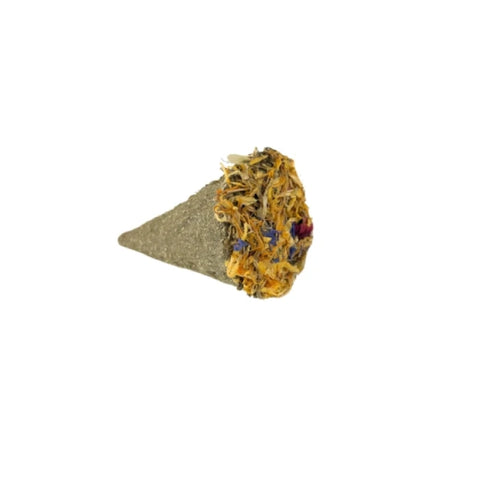 Helado de Timothy y Frutas – Snack Dental para Roedores