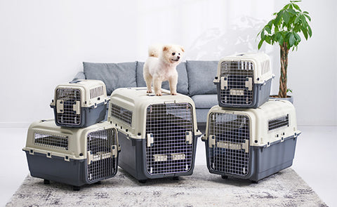 Jaula Transportadora Kennel Travel Para Perros Y Gatos Xl